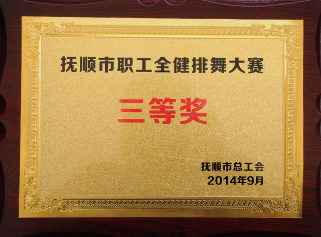 抚顺市职工全健排舞大赛三等奖